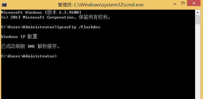 windows cmd窗口刷新dns