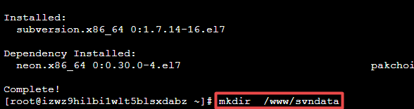 命令行创建SVN数据目录